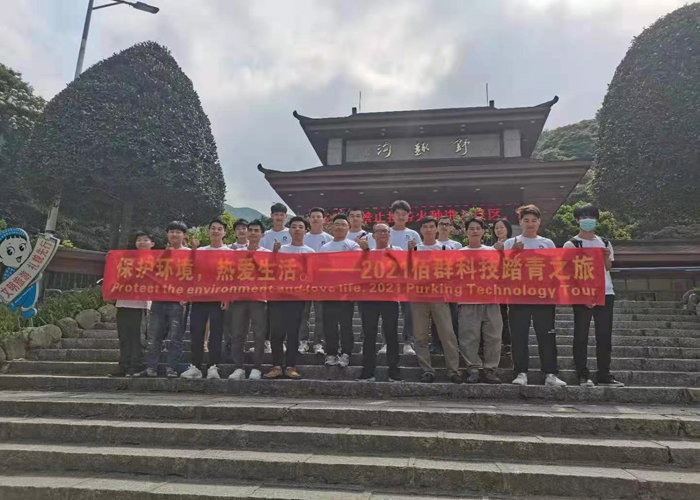 გასვლა გაზაფხულზე